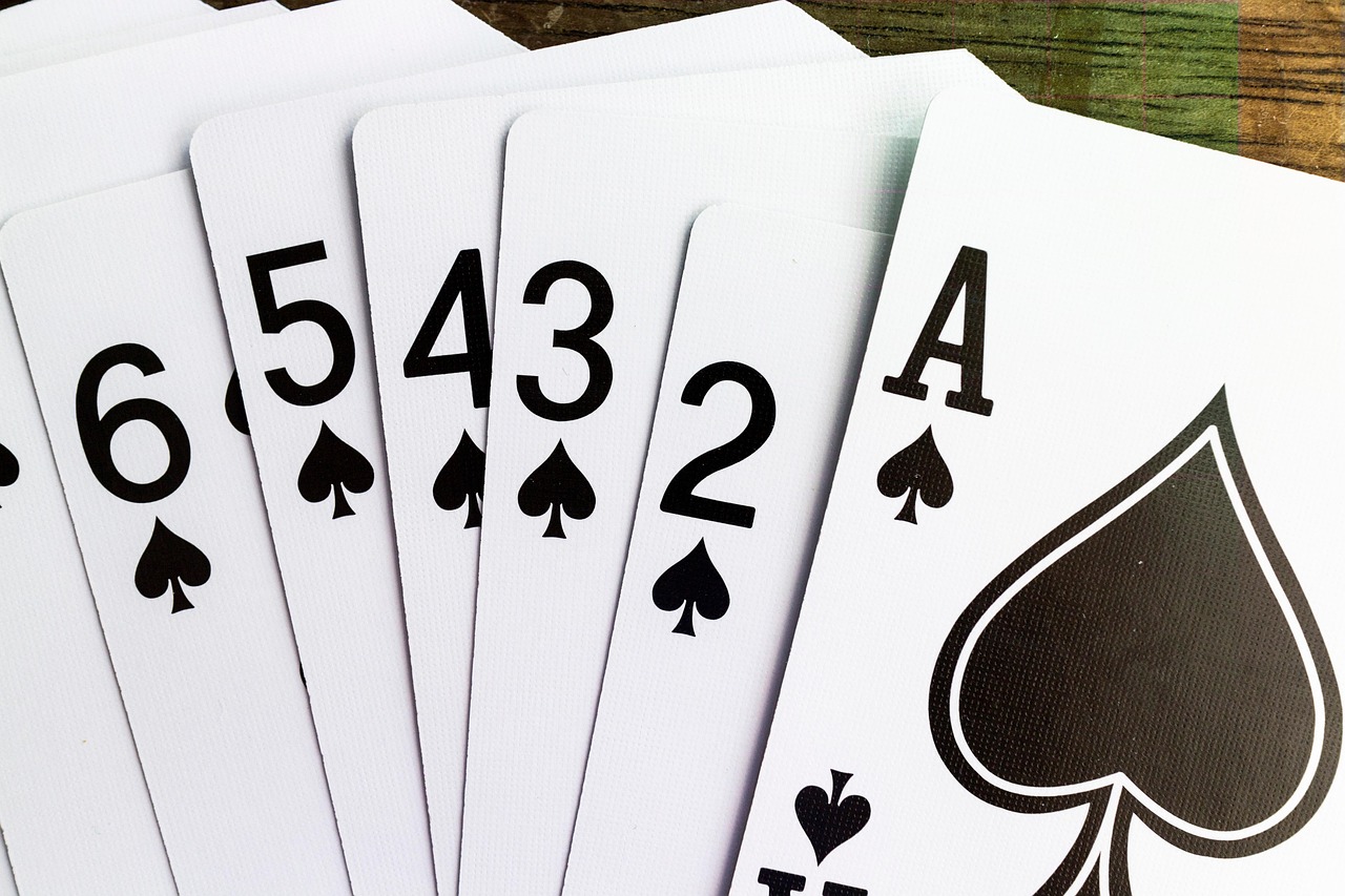 The House Always Wins? Why Smart Players Still Show Up