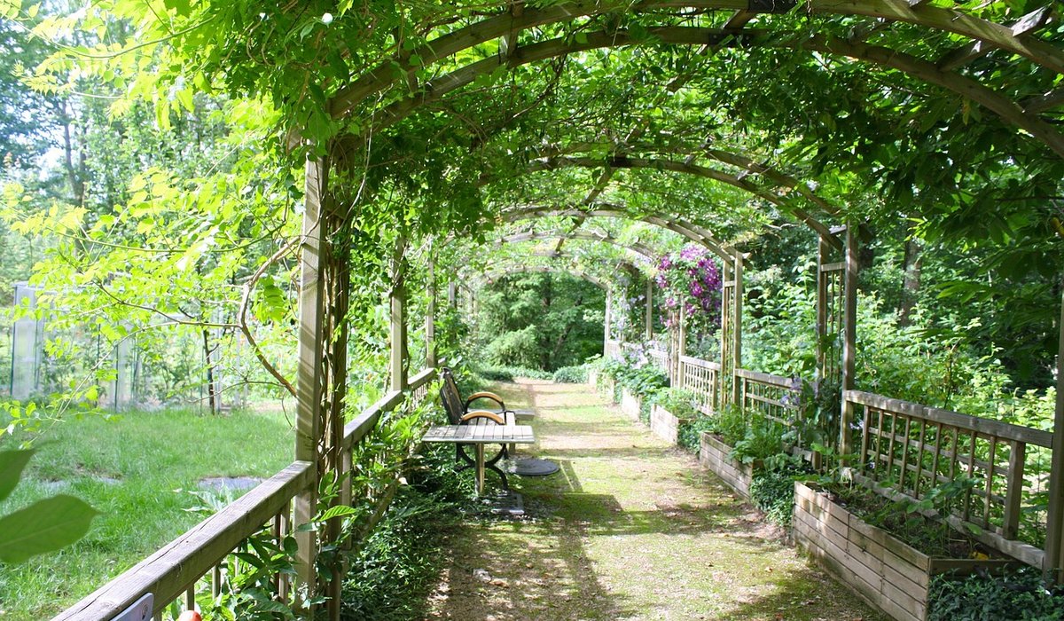 Attracting Hedgehogs and Birds to a Wildlife-Friendly Garden